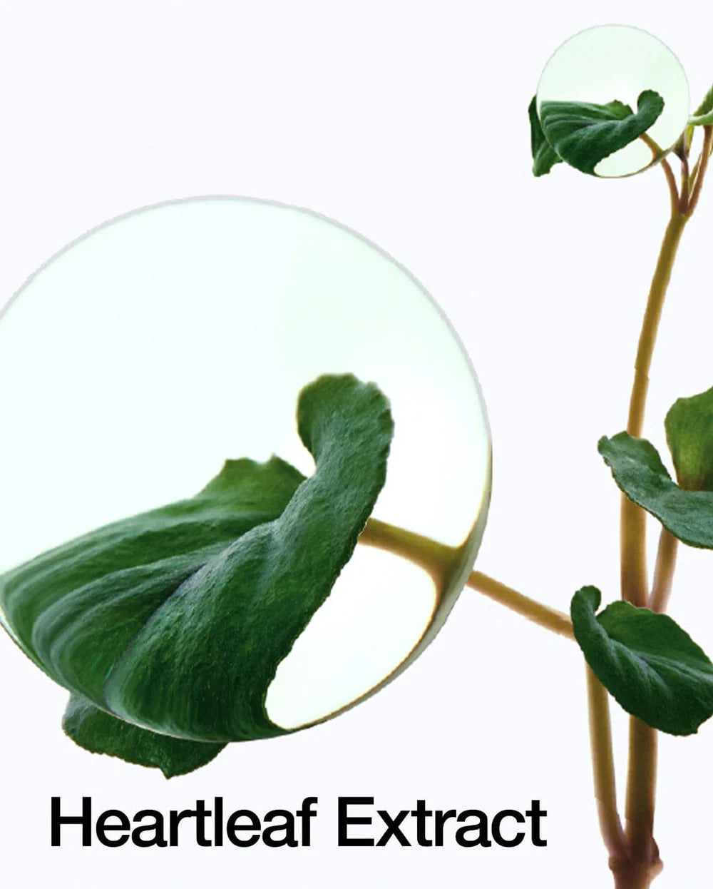 ACEITE LIMPIADOR PARA EL CONTROL DE POROS DE HEARTLEAF ANUA